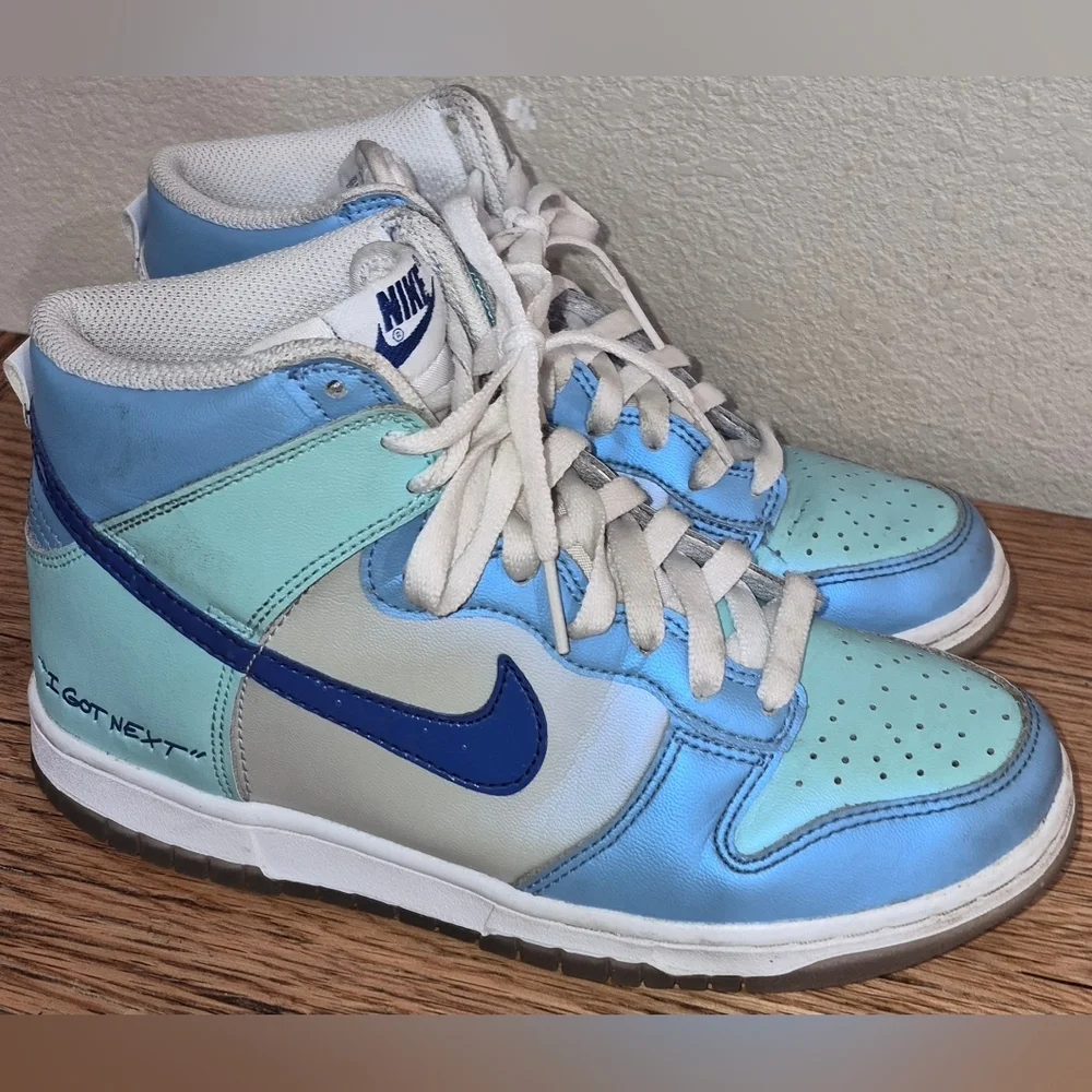 Nike Dunk High 